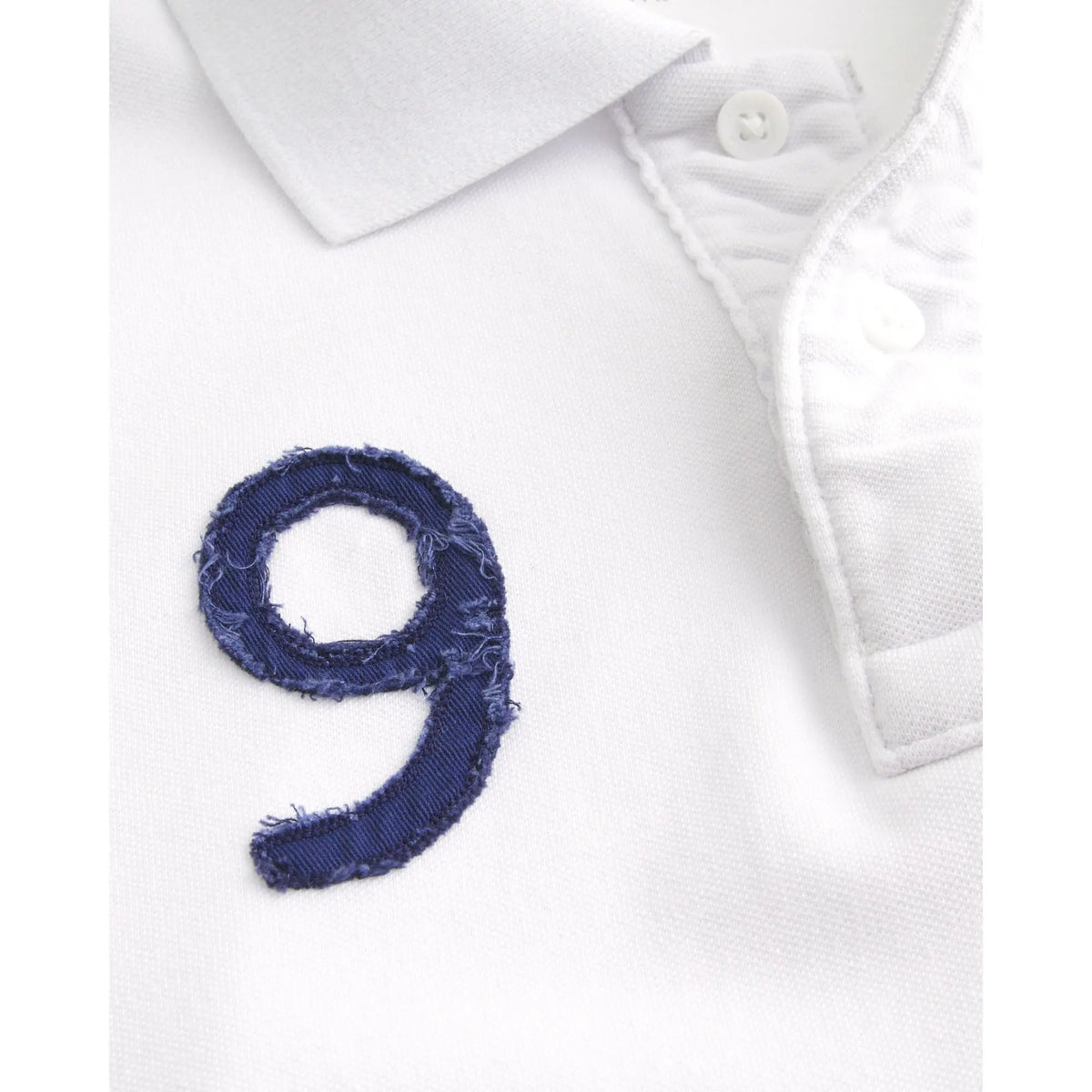Hollister Icon Polo